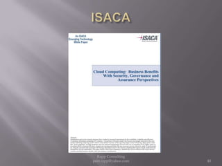 ISACA40Rapp Consulting   peet.rapp@yahoo.com