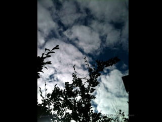 08.15, 29 nov.2013, bilkent

 