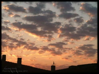 From my study window, 2012

 