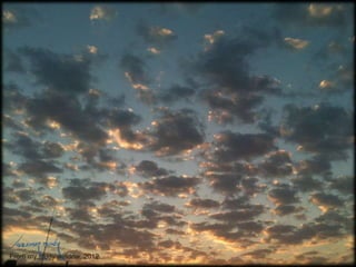 From my study window, 2012

 