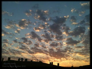 From my study window, 2012

 