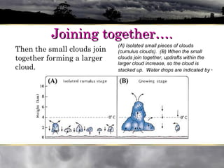 Joining together….Joining together….
Then the small clouds join
together forming a larger
cloud.
(A) Isolated small pieces of clouds
(cumulus clouds). (B) When the small
clouds join together, updrafts within the
larger cloud increase, so the cloud is
stacked up. Water drops are indicated by ·
 