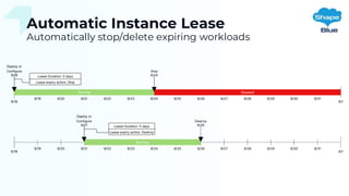 Automatic Instance Lease
Automatically stop/delete expiring workloads
 