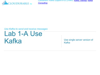 ™
Cassandra / Kafka Support in EC2/AWS. Kafka Training, Kafka
Consulting
Use Kafka to send and receive messages
Lab 1-A Use
Kafka Use single server version of
Kafka
 