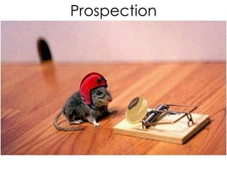 Définissez le profil du vendeur
idéal à l’aide du Référentiel®
Vos vendeurs ont-ils le profil adéquat pour faire ce
qu’il a à faire ?
Évaluez le profil de vos
vendeurs à l’aide du
Préférentiel®
Définir le profil idéal
 