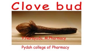 Y.Narayudu, M.Pharmacy
Pydah college of Pharmacy
 