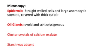 Microscopy:
Epidermis: Straight walled cells and large anomocytic
stomata, covered with thick cuticle
Oil Glands: ovoid and schizolysigenous
Cluster crystals of calcium oxalate
Starch was absent
 
