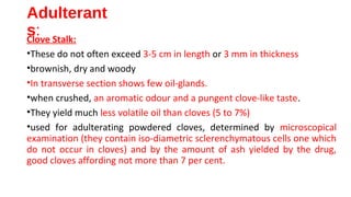 Adulterant
s:Clove Stalk:
•These do not often exceed 3-5 cm in length or 3 mm in thickness
•brownish, dry and woody
•In transverse section shows few oil-glands.
•when crushed, an aromatic odour and a pungent clove-like taste.
•They yield much less volatile oil than cloves (5 to 7%)
•used for adulterating powdered cloves, determined by microscopical
examination (they contain iso-diametric sclerenchymatous cells one which
do not occur in cloves) and by the amount of ash yielded by the drug,
good cloves affording not more than 7 per cent.
 