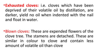•Exhausted cloves: i.e. cloves which have been
deprived of their volatile oil by distillation, are
darker, yield no oil when indented with the nail
and float in water.
•Blown cloves: These are expended flowers of the
clove tree. The stamens are detached. These are
similar in colour to clove and contain less
amount of volatile oil than clove
 