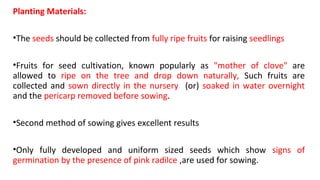 Planting Materials:
•The seeds should be collected from fully ripe fruits for raising seedlings
•Fruits for seed cultivation, known popularly as "mother of clove" are
allowed to ripe on the tree and drop down naturally, Such fruits are
collected and sown directly in the nursery (or) soaked in water overnight
and the pericarp removed before sowing.
•Second method of sowing gives excellent results
•Only fully developed and uniform sized seeds which show signs of
germination by the presence of pink radilce ,are used for sowing.
 