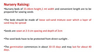 Nursery Raising:
•Nursery beds of 15-20cm height,1 mt width and convenient length are to be
prepared for sowing seeds
•The beds should be made of loose soil-sand mixture over which a layer of
sand may be spread
•Seeds are sown at 2-3 cm spacing and depth of 2cm
•The seed beds have to be protected from direct sunlight .
•The germination commences in about 10-15 days and may last for about 40
days.
 