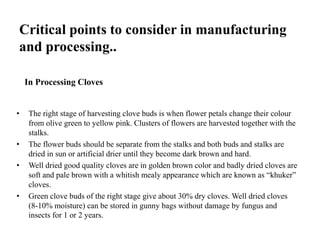 Critical points to consider in manufacturing
and processing..
In Processing Cloves
• The right stage of harvesting clove buds is when flower petals change their colour
from olive green to yellow pink. Clusters of flowers are harvested together with the
stalks.
• The flower buds should be separate from the stalks and both buds and stalks are
dried in sun or artificial drier until they become dark brown and hard.
• Well dried good quality cloves are in golden brown color and badly dried cloves are
soft and pale brown with a whitish mealy appearance which are known as “khuker”
cloves.
• Green clove buds of the right stage give about 30% dry cloves. Well dried cloves
(8-10% moisture) can be stored in gunny bags without damage by fungus and
insects for 1 or 2 years.
 