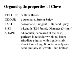 Organoleptic properties of Clove
COLOUR :- Dark Brown
ODOUR :-Aromatic, Strong Spicy
TASTE :-Aromatic, Pungent, Bitter and Spicy
SIZE :-Length (12-17mm), Diameter (3-4mm)
SHAPE :-Globular, depressed at the base,
pericarp is reticular wrinkled, bears
triradiate stigma, with slender stalk
about 4 mm long. It contains only one
seed. Initially it is white and hollow.
 