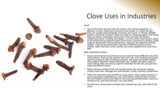 Clove class | PDF