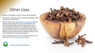 Clove class | PDF
