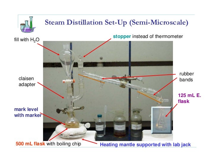 clove oil steam distillation how steam distillation works
