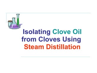 Isolating  Clove Oil from Cloves Using  Steam Distillation 
