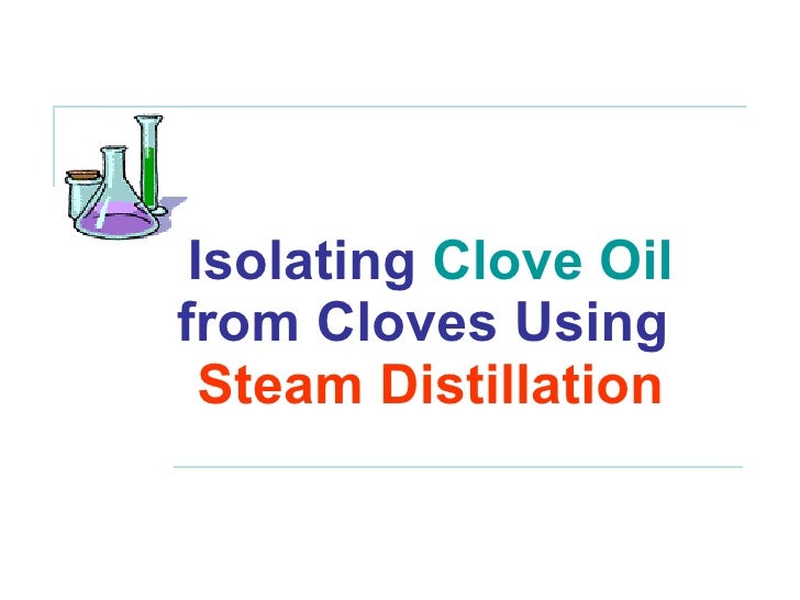 Clove Oil Steam Distillation Spring 09