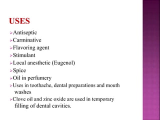 Antiseptic
Carminative
Flavoring agent
Stimulant
Local anesthetic (Eugenol)
Spice
Oil in perfumery
Uses in toothache, dental preparations and mouth
washes
Clove oil and zinc oxide are used in temporary
filling of dental cavities.
 