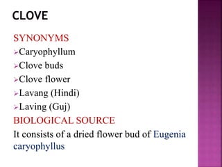 SYNONYMS
Caryophyllum
Clove buds
Clove flower
Lavang (Hindi)
Laving (Guj)
BIOLOGICAL SOURCE
It consists of a dried flower bud of Eugenia
caryophyllus
 