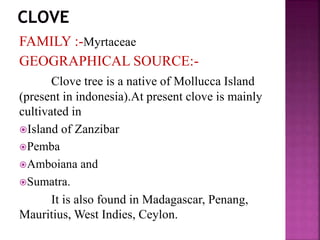 FAMILY :-Myrtaceae
GEOGRAPHICAL SOURCE:-
Clove tree is a native of Mollucca Island
(present in indonesia).At present clove is mainly
cultivated in
Island of Zanzibar
Pemba
Amboiana and
Sumatra.
It is also found in Madagascar, Penang,
Mauritius, West Indies, Ceylon.
 