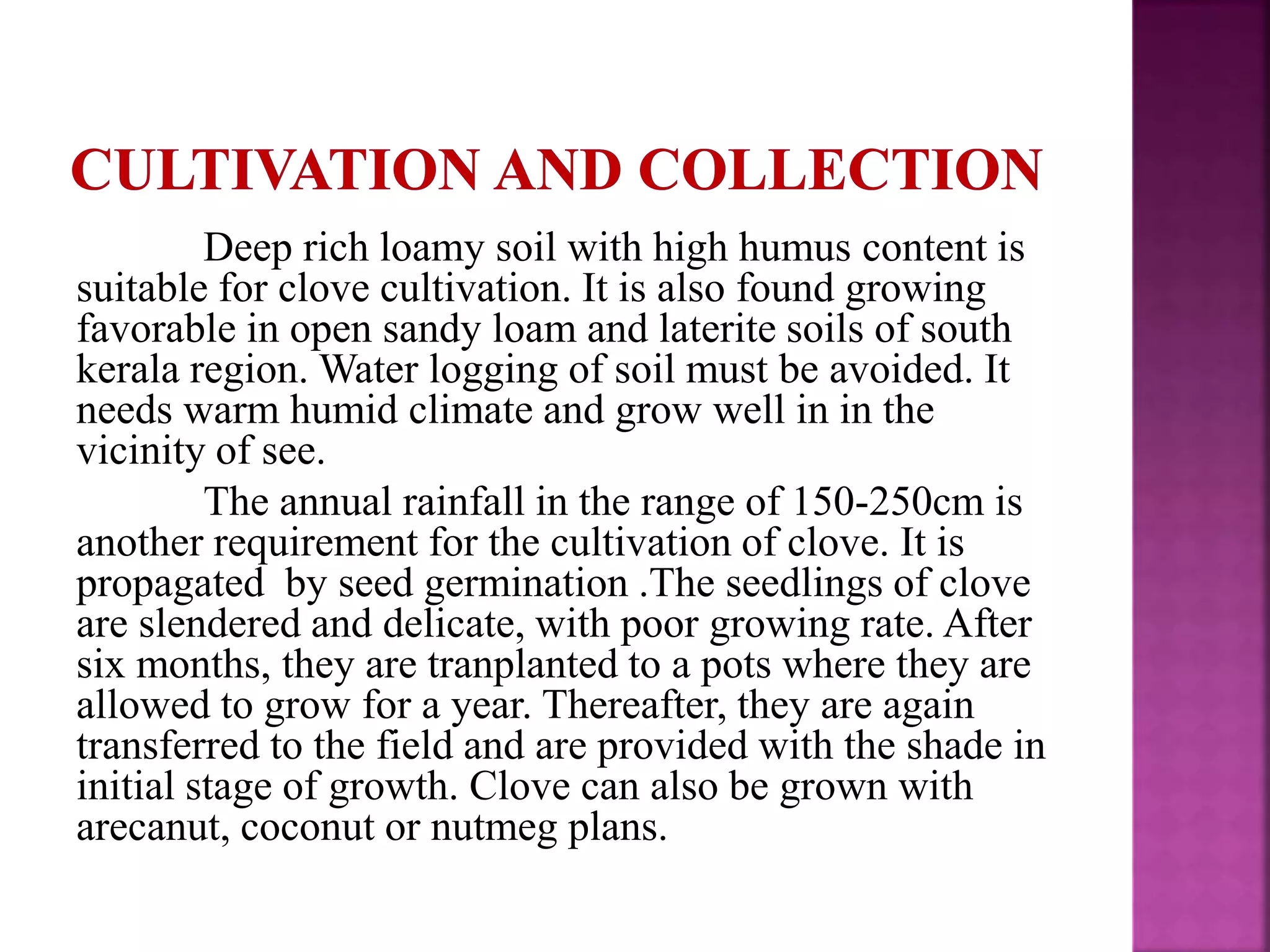 Deep rich loamy soil with high humus content is
suitable for clove cultivation. It is also found growing
favorable in open sandy loam and laterite soils of south
kerala region. Water logging of soil must be avoided. It
needs warm humid climate and grow well in in the
vicinity of see.
The annual rainfall in the range of 150-250cm is
another requirement for the cultivation of clove. It is
propagated by seed germination .The seedlings of clove
are slendered and delicate, with poor growing rate. After
six months, they are tranplanted to a pots where they are
allowed to grow for a year. Thereafter, they are again
transferred to the field and are provided with the shade in
initial stage of growth. Clove can also be grown with
arecanut, coconut or nutmeg plans.
 