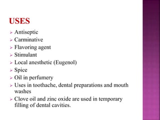  Antiseptic
 Carminative
 Flavoring agent
 Stimulant
 Local anesthetic (Eugenol)
 Spice
 Oil in perfumery
 Uses in toothache, dental preparations and mouth
washes
 Clove oil and zinc oxide are used in temporary
filling of dental cavities.
 