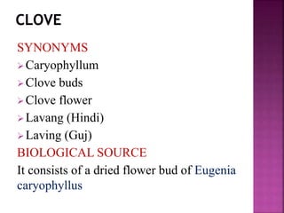 SYNONYMS
Caryophyllum
Clove buds
Clove flower
Lavang (Hindi)
Laving (Guj)
BIOLOGICAL SOURCE
It consists of a dried flower bud of Eugenia
caryophyllus
 