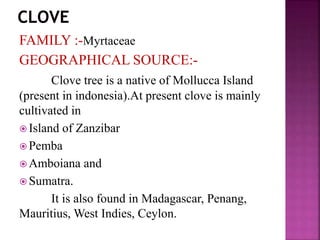 FAMILY :-Myrtaceae
GEOGRAPHICAL SOURCE:-
Clove tree is a native of Mollucca Island
(present in indonesia).At present clove is mainly
cultivated in
 Island of Zanzibar
 Pemba
 Amboiana and
 Sumatra.
It is also found in Madagascar, Penang,
Mauritius, West Indies, Ceylon.
 