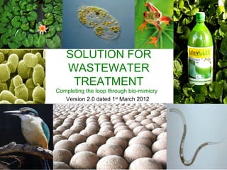 CLOVER PRODUCT
 SOLUTION FOR
  WASTEWATER
   TREATMENT
Completing the loop through bio-mimicry
   Version 2.0 dated 1st March 2012
 