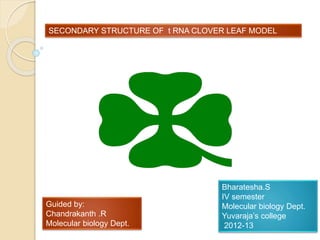 SECONDARY STRUCTURE OF t RNA CLOVER LEAF MODEL
Bharatesha.S
IV semester
Molecular biology Dept.
Yuvaraja’s college
2012-13
Guided by:
Chandrakanth .R
Molecular biology Dept.
 