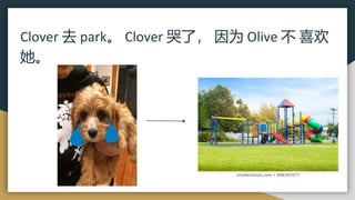 Clover 去 park。 Clover 哭了， 因为 Olive 不 喜欢
她。
 