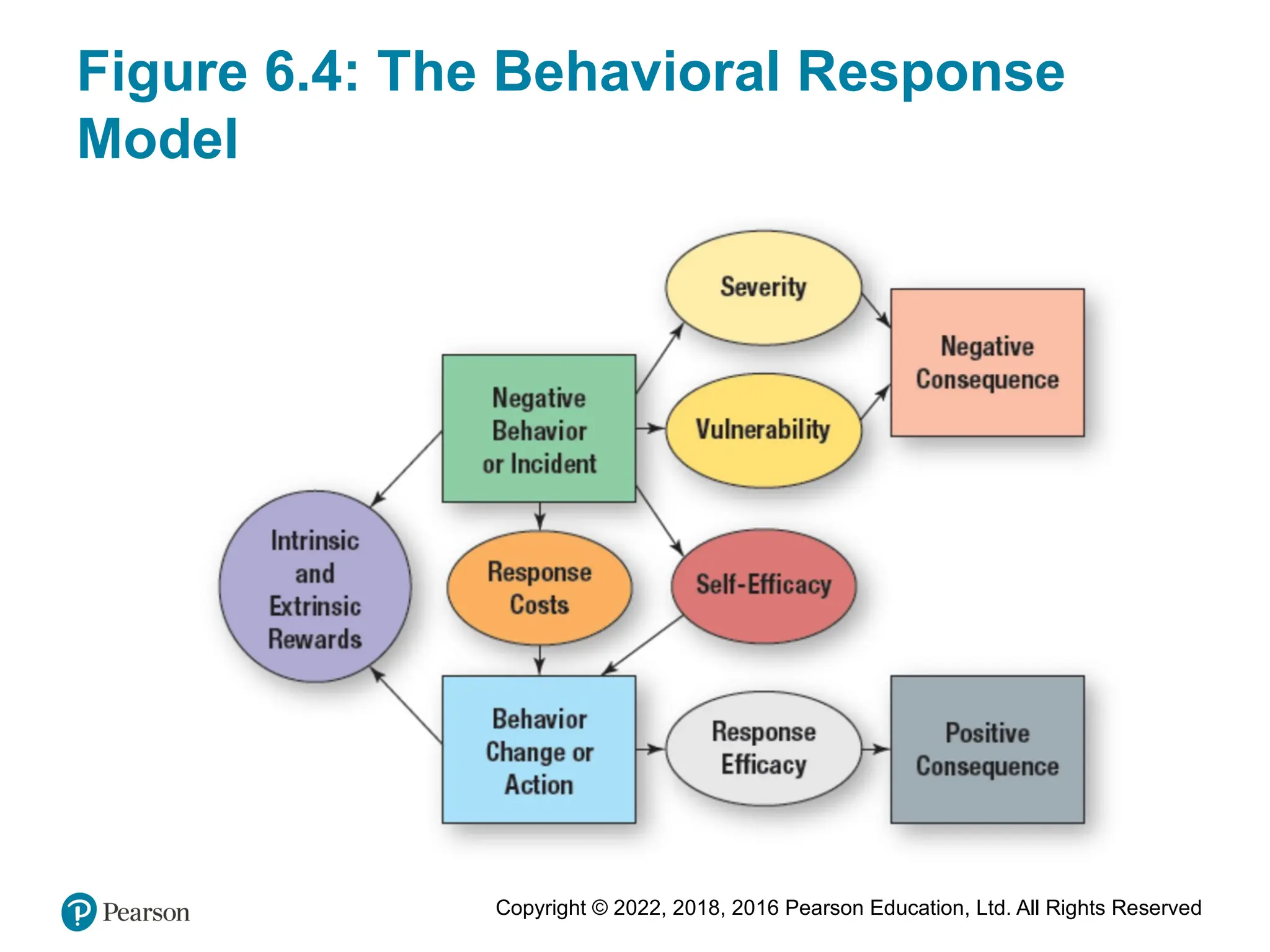Copyright © 2022, 2018, 2016 Pearson Education, Ltd. All Rights Reserved
Figure 6.4: The Behavioral Response
Model
 