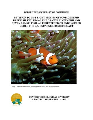 BEFORE THE SECRETARY OF COMMERCE

   PETITION TO LIST EIGHT SPECIES OF POMACENTRID
  REEF FISH, INCLUDING THE ORANGE CLOWNFISH AND
 SEVEN DAMSELFISH, AS THREATENED OR ENDANGERED
       UNDER THE U.S. ENDANGERED SPECIES ACT




Orange Clownfish (Amphiprion percula) photo by flickr user Jan Messersmith




                           CENTER FOR BIOLOGICAL DIVERSITY
                             SUBMITTED SEPTEMBER 13, 2012
 