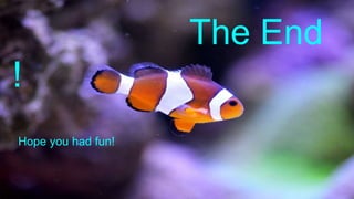 The End
!
Hope you had fun!
 