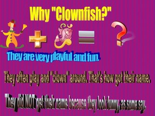 Why "Clownfish?" They often play and "clown" around. That's how got their name. They are very playful and fun. They did NOT get their name because they look funny, as some say. = 