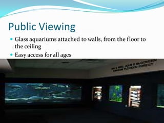 Public Viewing
 Glass aquariums attached to walls, from the floor to
  the ceiling
 Easy access for all ages
 