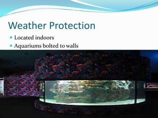 Weather Protection
 Located indoors
 Aquariums bolted to walls
 