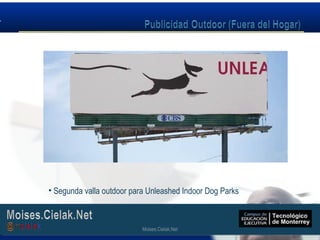 Moises.Cielak.Net
• Segunda valla outdoor para Unleashed Indoor Dog Parks
Moises.Cielak.Net
 
