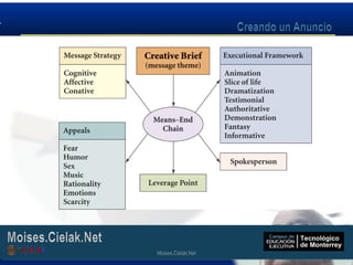 Moises.Cielak.Net
Moises.Cielak.Net
 