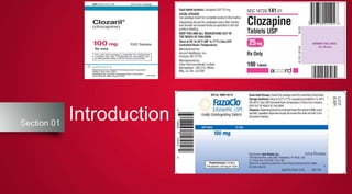 IntroductionSection 01
 