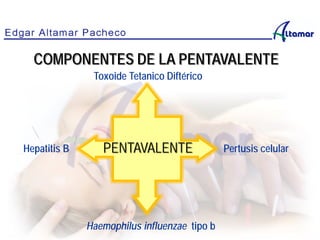 Hepatitis B
Haemophilus influenzae tipo b
Toxoide Tetanico Diftérico
Pertusis celular
COMPONENTES DE LA PENTAVALENTE
PENTAVALENTE
 