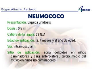 Presentación: Líquida unidosis
Dosis : 0,5 ml
Calibre de la aguja: 23 Gx1
Edad de aplicación: 2, 4 meses y al año de edad.
Vía: Intramuscular
Sitio de aplicación: Zona deltoidea en niños
caminadores y cara anterolateral, tercio medio del
muslo en niños no caminadores.
NEUMOCOCO
 