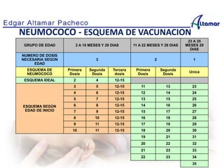 GRUPO DE EDAD 2 A 10 MESES Y 29 DIAS 11 A 22 MESES Y 29 DIAS
23 A 35
MESES 29
DIAS
NUMERO DE DOSIS
NECESARIA SEGÚN
EDAD
3 2 1
ESQUEMA DE
NEUMOCOCO
Primera
Dosis
Segunda
Dosis
Tercera
dosis
Primera
Dosis
Segunda
Dosis
Unica
ESQUEMA IDEAL 2 4 12-15
ESQUEMA SEGÚN
EDAD DE INICIO
3 5 12-15 11 13 23
4 6 12-15 12 14 24
5 7 12-15 13 15 25
6 8 12-15 14 16 26
7 9 12-15 15 17 27
8 10 12-15 16 18 28
9 11 12-15 17 19 29
10 11 12-15 18 20 30
19 21 31
20 22 32
21 23 33
22 23 34
35
NEUMOCOCO - ESQUEMA DE VACUNACION
 