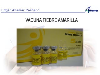 VACUNA FIEBRE AMARILLA
 