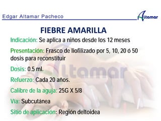 Indicación: Se aplica a niños desde los 12 meses
Presentación: Frasco de liofilizado por 5, 10, 20 ó 50
dosis para reconstituir
Dosis: 0.5 ml.
Refuerzo: Cada 20 años.
Calibre de la aguja: 25G X 5/8
Vía: Subcutánea
Sitio de aplicación: Región deltoidea
FIEBRE AMARILLA
 