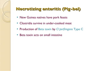 Necrotizing enteritis (Pig-bel) New Guinea natives have pork feasts Clostridia survive in under-cooked meat Production of  Beta toxin  by  Cl perfringens  Type C   Beta toxin acts on small intestine 