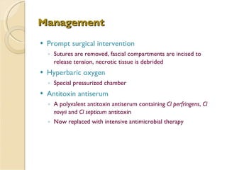 Management   Prompt surgical intervention Sutures are removed, fascial compartments are incised to release tension, necrotic tissue is debrided Hyperbaric oxygen Special pressurized chamber Antitoxin antiserum A polyvalent antitoxin antiserum containing  Cl perfringens ,  Cl novyii  and  Cl septicum  antitoxin Now replaced with intensive antimicrobial therapy 