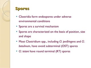 Spores Clostridia form endospores under adverse environmental conditions Spores are a survival mechanism Spores are characterized on the basis of position, size and shape Most Clostridium spp., including  Cl. perfringens  and  Cl. botulinum , have ovoid subterminal (OST) spores Cl. tetani  have round terminal (RT) spores 