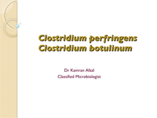 Clostridium perfringens Clostridium botulinum Dr Kamran Afzal Classified Microbiologist 